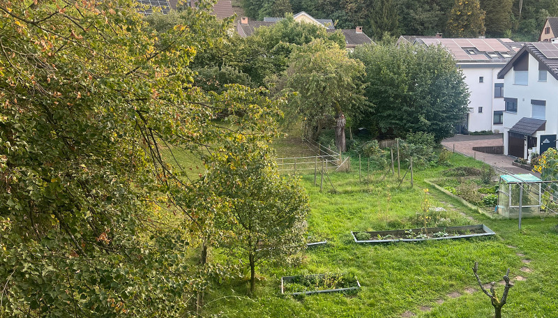 Wartenbergstrasse_Garten_mit_Linde